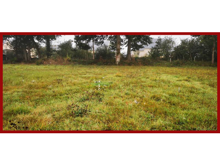 vente terrain constructible et viabilisé de 2454m2