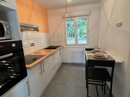 appartement meublé refait à neuf