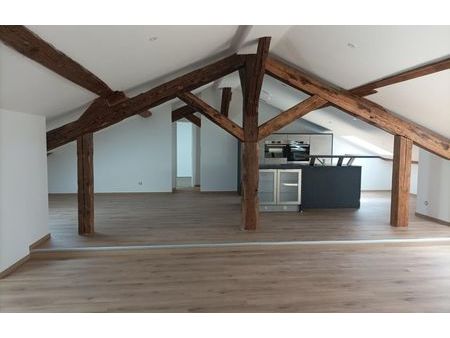 location appartement 5 pièces 145 m² nancy (54000)