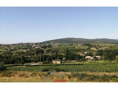 vente terrain 3475 m² la roche-vineuse (71960)