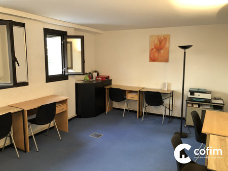 immobilier professionnel à vendre pau