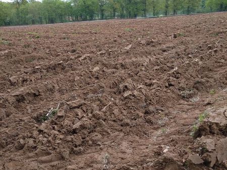 terrain agricole ou loisirs