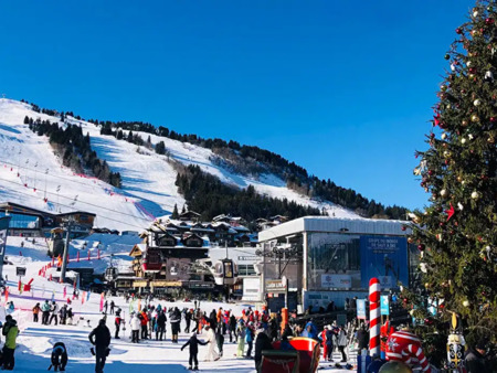 propriété courchevel (73)