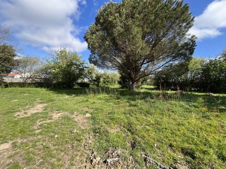 terrain - 769m² - st mathurin