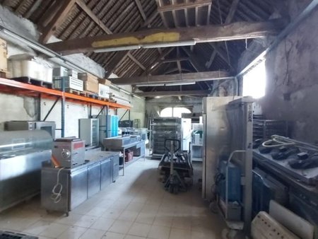 vente immeuble de 575 m² à champigny (89340)