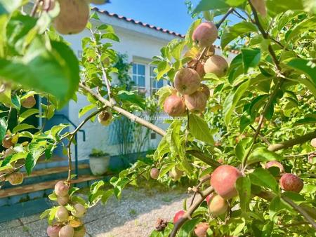 vente maison piscine à noirmoutier-en-l'île (85330) : à vendre piscine / 157m² noirmoutier