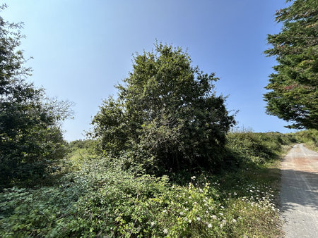 terrain de loisirs proche centre bourg olonne sur mer