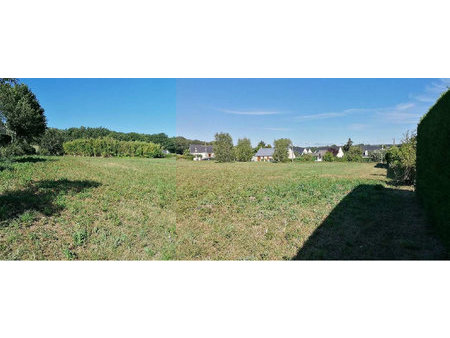 terrain viabilise a batir bauge en anjou 484m²