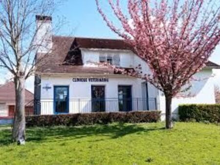 bureaux / local professionnel