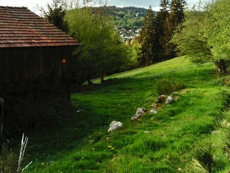 terrain de loisirs