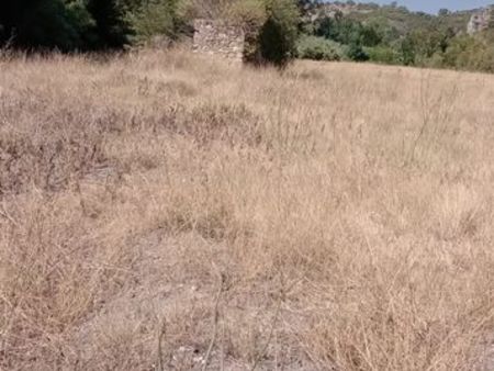 terrain agricole avec cabanon