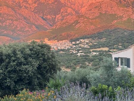 propriété de charme à moncale (20214)  corse