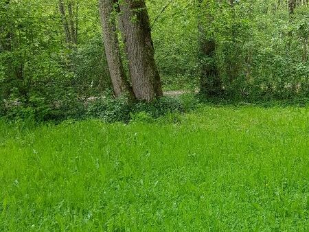 terrain pour caravane / camion