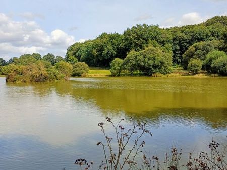 etang   bois  prairie