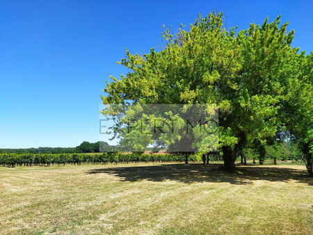 jolie ferme de style girondine avec nombreuses dependances sur 7 8 hectares dont 6ha de vi