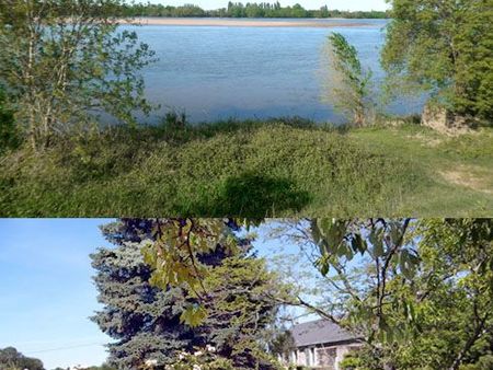 les garenne sur loire/ bords de loire  verdure