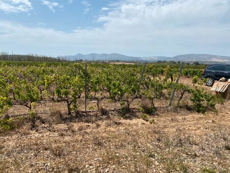 terrain agricole espira de l’agly