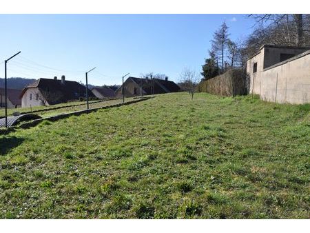 beau terrain 1050m2 hombourg-haut