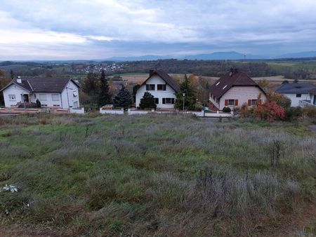 forêt 815 m² illfurth