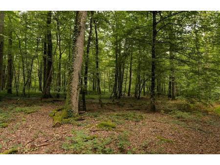 propriété mixte agricole et forêstière de 9ha en sologne