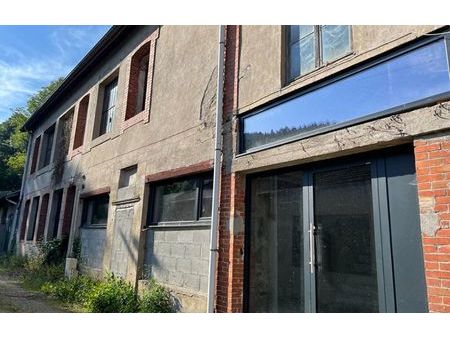 vente immeuble 470 m² aurec-sur-loire (43110)