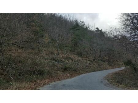 5375m2 terrain boisé dans la foret d'aleyrac drome