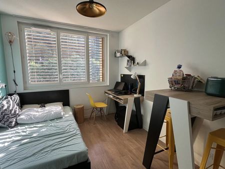 studio 1 pièce 20 m²