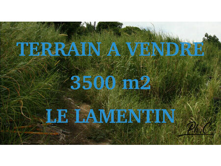 a vendre terrain constructible 3500 m² à le lamentin | capifrance