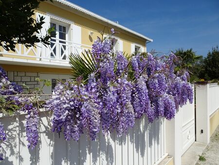 maison centre châtelaillon-plage