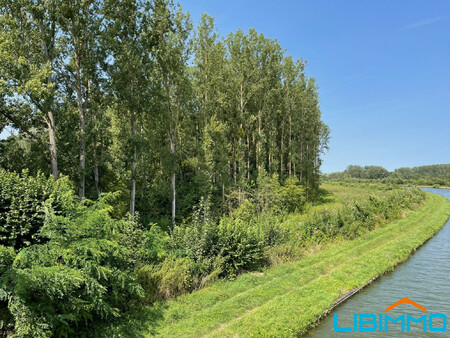 terrain - 11 000m² - pimprez