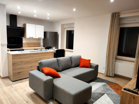 spécial frontalier dasle appartement entiérement renové