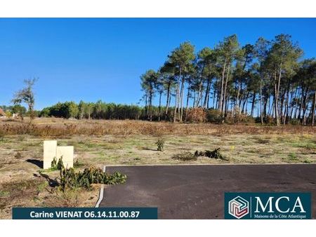 vente terrain 555 m² pissos (40410)