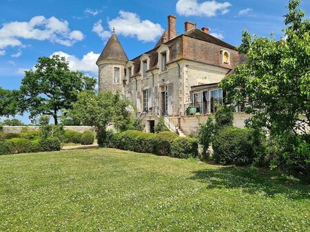 château à vendre dans le quartier centre