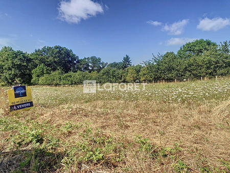 vente terrain à val d'anast (35330) : à vendre / 750m² val d'anast