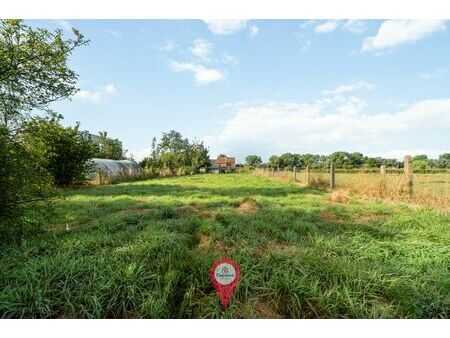 renovatiepand op 1255m² in landelijke omgeving