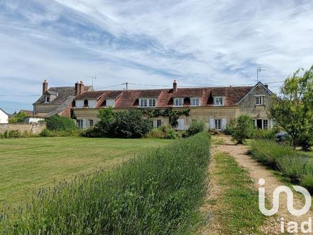 vente maison à montoire-sur-le-loir (41800) : à vendre / 299m² montoire-sur-le-loir