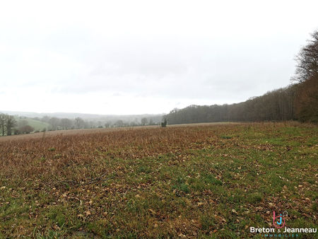 terrain agricole de 7ha 46 à vimartin sur orthe