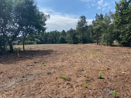 terrain à bâtir à pontenx-les-forges (40200)