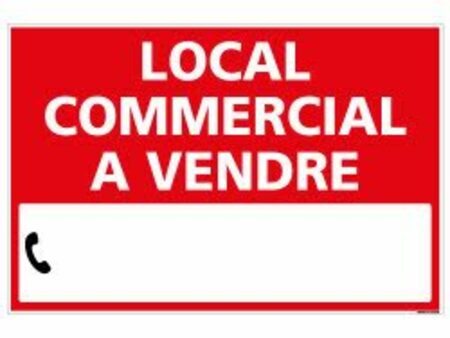 vente locaux professionnels 2 pièces 48 m²