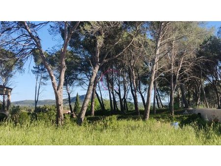 vente terrain 1100 m²