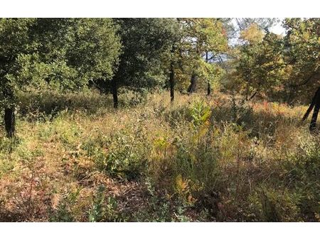 vente terrain à construire 500 m² besse-sur-issole (83890)