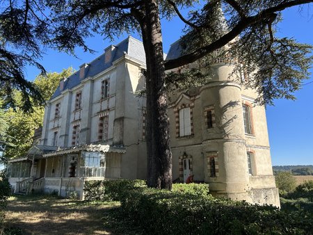 château en bordure de rivière  env 4ha et dépendances. toulouse 40 min