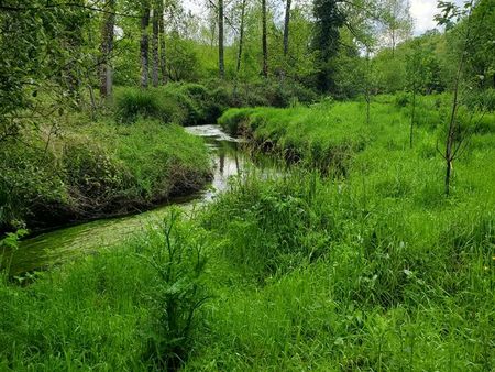 terrain forestier loisir agri