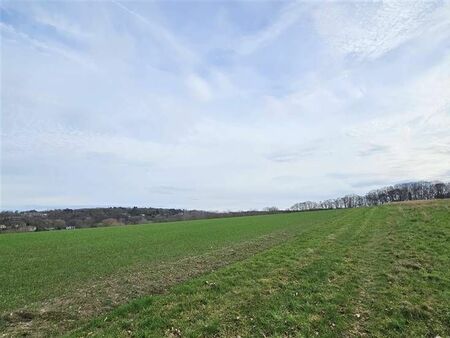 offre exclusive : terrain agricole à vendre à dworp