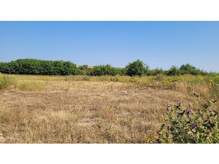 vente terrain 445 m²