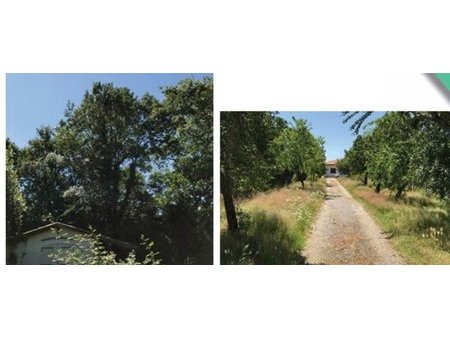 terrain à bâtir à pessac (33600)