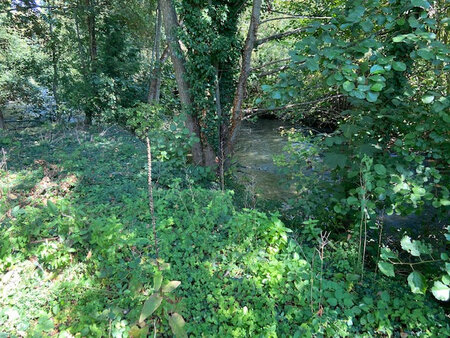 a vendre terrain à bâtir avec une rivière