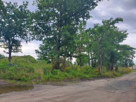 terrain à bâtir à belin-béliet (33830)