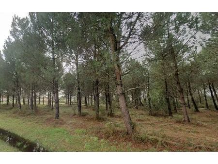 vente terrain 560 m² andernos-les-bains (33510)