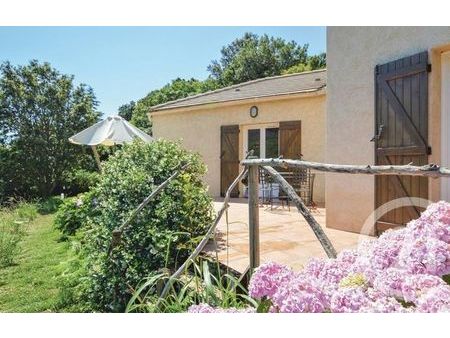 maison à vendre - 5 pièces - 124 m2 - sisco - 202 - corse